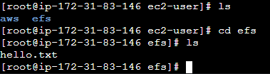 Step-By-Step Guide: Mount Elastic File System (EFS) on EC2